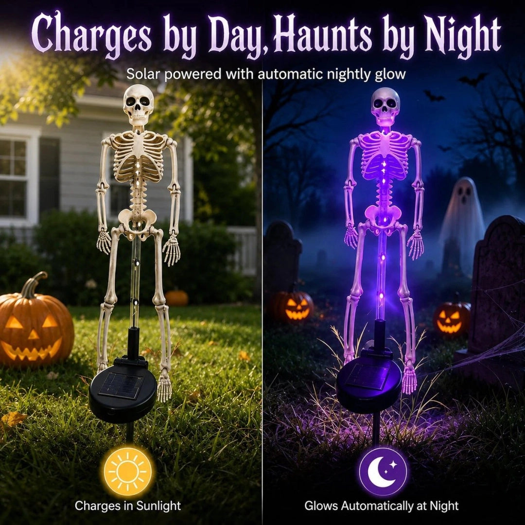 👻Solar Skeleton YardStake